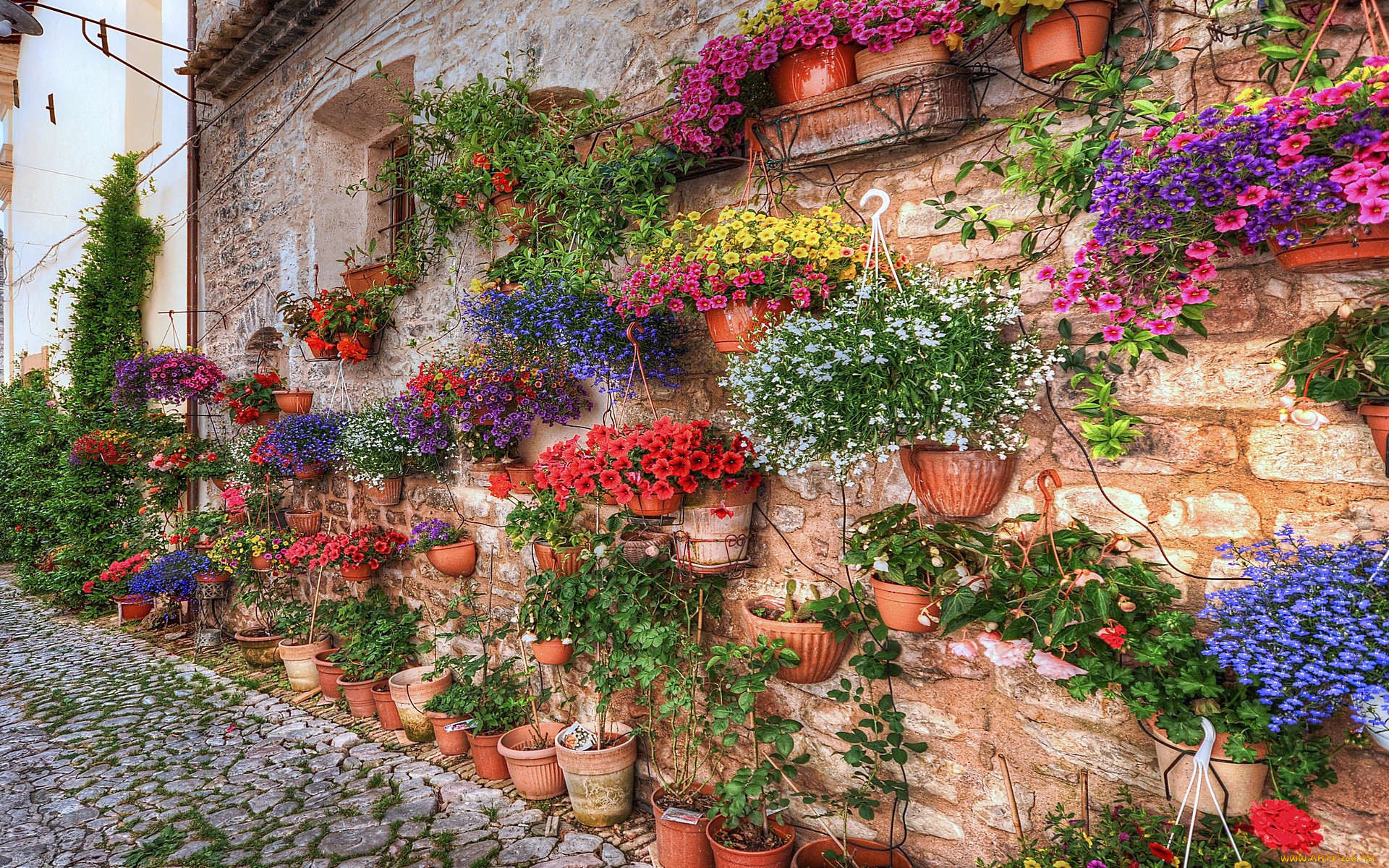 Street of flowers. Спелло Умбрия. Умбрия Италия цветы. Спелло Умбрия итальянская деревня. Улицы Италии Спелло.